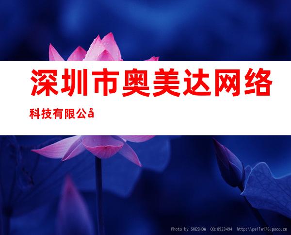 深圳市奥美达网络科技有限公司
